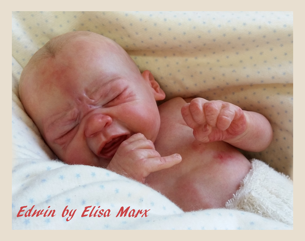 edwin by elisa marx